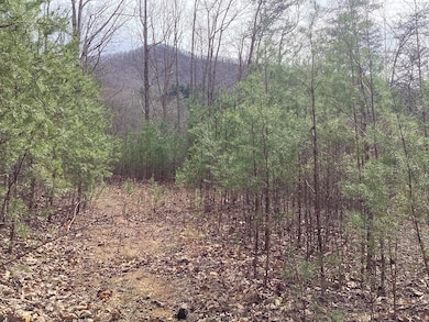 374 Taylor Way, Hiawassee, GA 30546 - photo 2