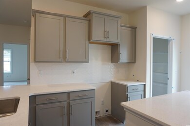 Kitchen featuring tasteful backsplash, gray cabine