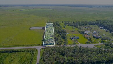 0 County Road 311 unit 16332064, Brazoria, TX 77422 - photo 6