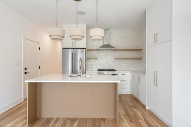 1530 W 18th Place unit 2, Chicago, IL 60608 - photo 2