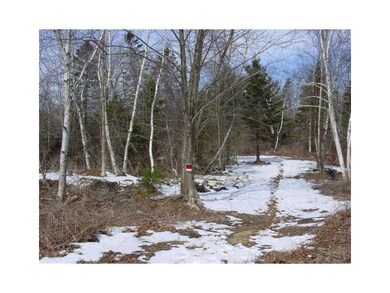 Land/Lot. Proposed driveway.