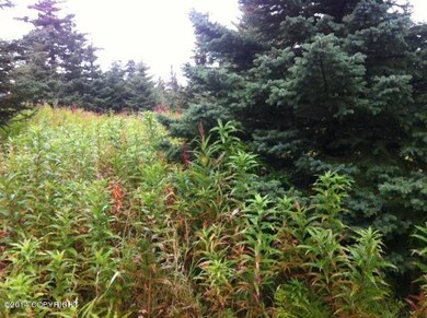 photo 4 (17)