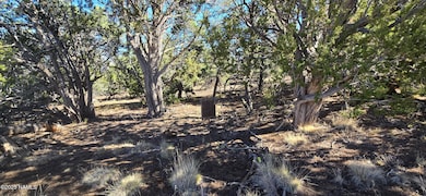 20202016s No Name Rd, Williams, AZ 86046 - photo 2