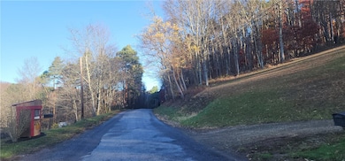 0 Reed Rd, Ringgold Township, PA 16240 - photo 4