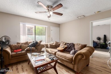 Living Room/Bedroom