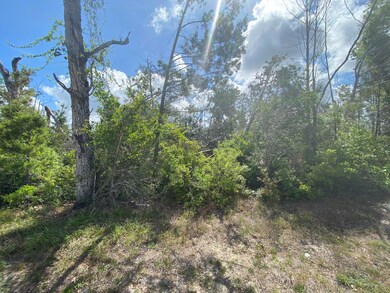 402 Meadowview Terrace unit LOT 1, Lynn Haven, FL 32444 - photo 5