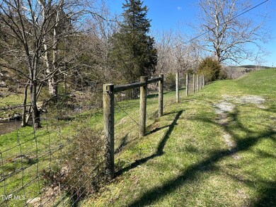 891 Belfast Mills Rd, Cedar Bluff, VA 24609 - photo 4