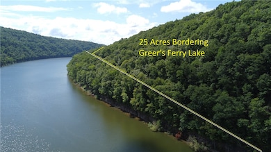 TBD Mayhand Rd, Shirley, AR 72153 - photo 3