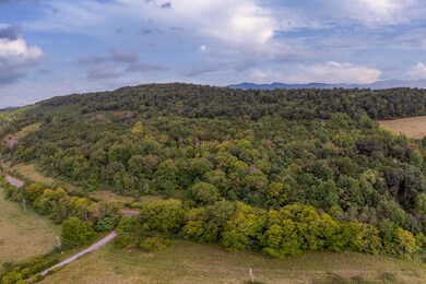 734 Forest Grove Rd unit 703, Lexington, VA 24450 - photo 3