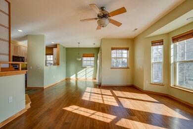 350 W Wilson St unit 203, Madison, WI 53703 - photo 7