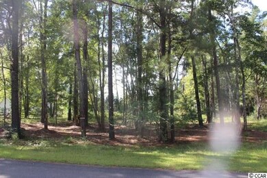 Tract 2-K-A Fallen Timber Dr, Myrtle Beach, SC 29588 - photo 2