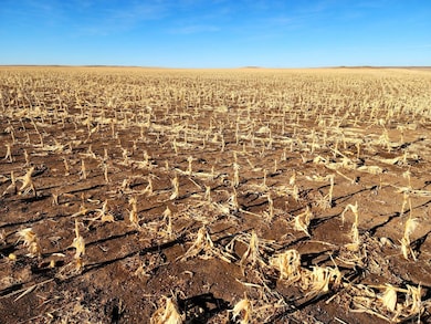 Road 33w, Bushnell, NE 69145 - photo 3