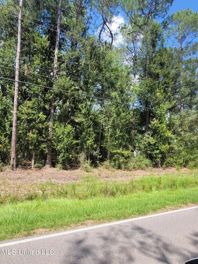 00 Walkiah Bluff Rd, Picayune, MS 39466 - photo 5