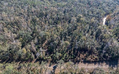 0 Lot 29 188th Trail, Live Oak, FL 32060 - photo 6