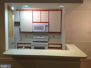 3307 Sir Thomas Dr, Silver Spring, MD 20904 - photo 5