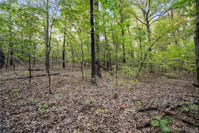 00168 N4400, Webbers Falls, OK 74470 - photo 5