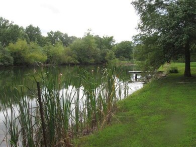 IMG_6205 (1)