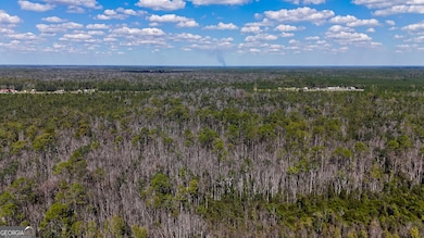 0 U S 84 unit 1 10563254, Homerville, GA 31634 - photo 6