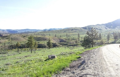 15 Sawtooth View Rd, Pateros, WA 98846 - photo 6