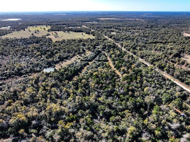 117A Lcr 702, Kosse, TX 76653 - photo 6