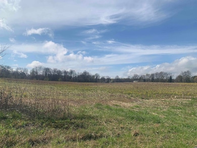 00 Works Rd, Crutchfield, KY 42041 - photo 2