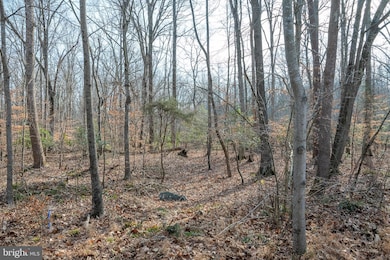 14435 Delaney Rd, Woodbridge, VA 22193 - photo 6