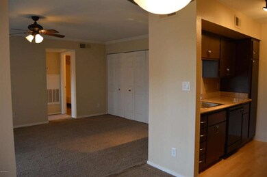 Kitchen/Living Area