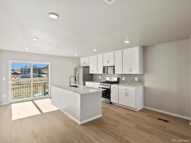 4671 Talley St, Morrison, CO 80465 - photo 6