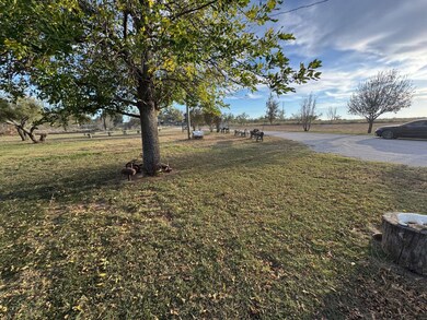 119 Theresa Dr, Graham, TX 76450 - photo 6