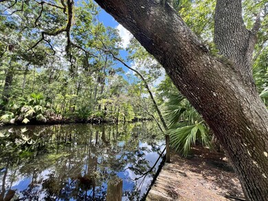 1528 NE Palm St, Steinhatchee, FL 32359 - photo 5