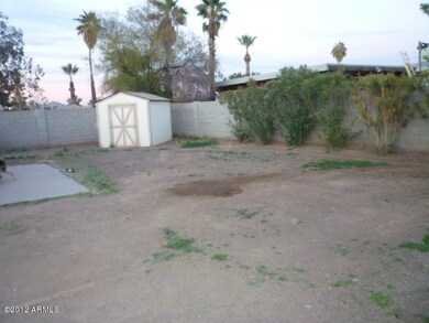 C:\fakepath\Back yard 1