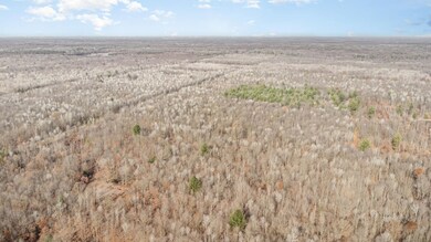 0 S County Line Rd unit 50195278, Shepherd, MI 48883 - photo 5