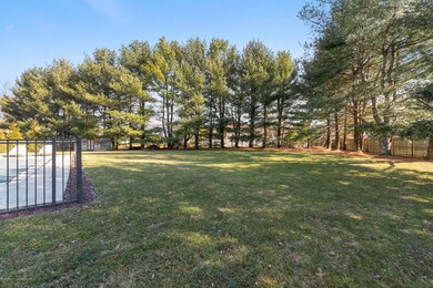 Rear Yard 2