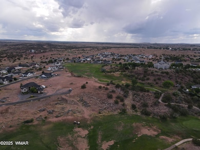 1788 W Stagecoach Ln, Snowflake, AZ 85937 - photo 5