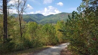 0 Rustling Woods Trail unit 26019251, Cullowhee, NC 28723 - photo 2