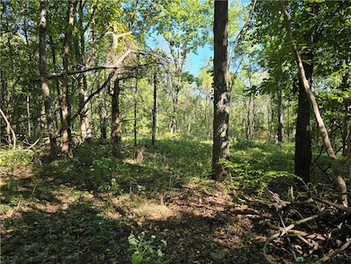 0000 Nc 6277, Jasper, AR 72641 - photo 6