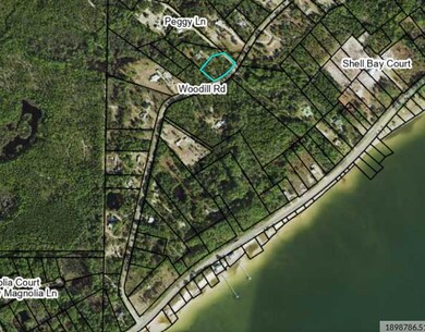 208 Woodill Rd, Carrabelle, FL 32322 - photo 4