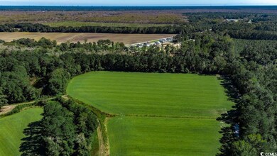 8.06 Acs Old Bucksville Rd, Conway, SC 29527 - photo 7