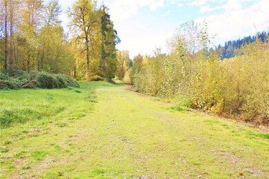 23411 Orville Rd E, Orting, WA 98360 - photo 7