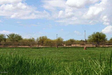 Grass Turnout Pens
