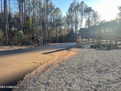 0 Springwood Trail unit 4102916, Flora, MS 39071 - photo 5