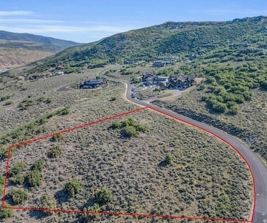 Aerial overview of property's location with property parcel outlined and a mountain backdrop