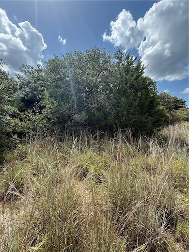 1163 Sugar Hill Rd, Caldwell, TX 77836 - photo 5