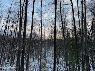 16486 E Barge Dr, Talkeetna, AK 99676 - photo 5