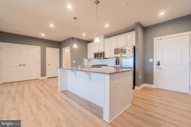 46320 Mount Milstead Terrace unit 402, Sterling, VA 20164 - photo 5