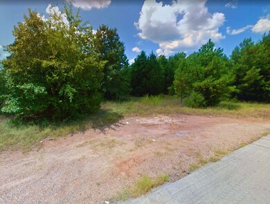 0 Valley View Dr unit Frankston TX 75763, Frankston, TX 75763 - photo 4