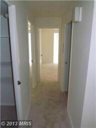 2626 Fort Farnsworth Rd, Alexandria, VA 22303 - photo 4