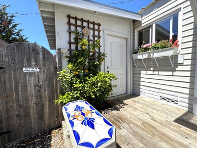 One of two sheds and lemon tree