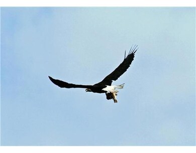 29 Mt Hunger Shore Rd, Windham, ME 04062 - photo 5