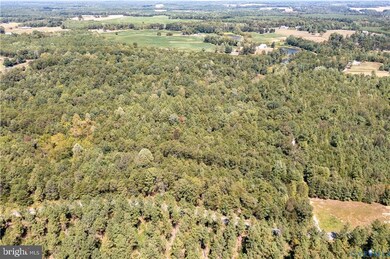 0 File Rd unit VACV2008830, Milford, VA 22514 - photo 7